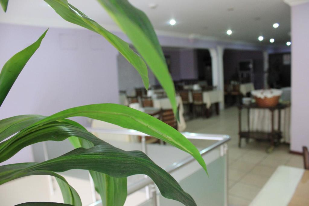 Nazar Hotel Trabzon Kültér fotó